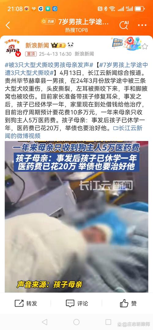 2025新澳门历史开奖查询和7岁男孩遭3只犬撕咬与7岁男孩遭3只犬撕咬怎么办