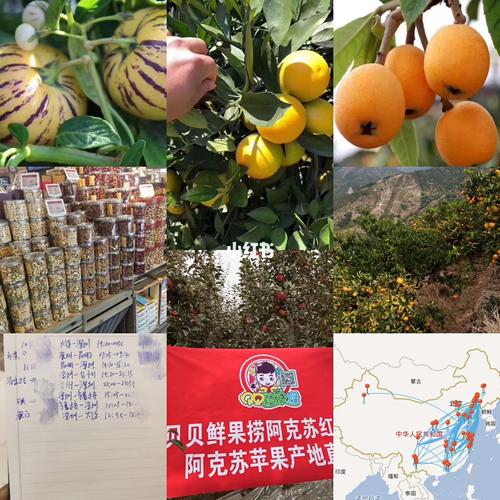 新澳门2025年正版免费和这几种水果买就后悔与买哪些水果