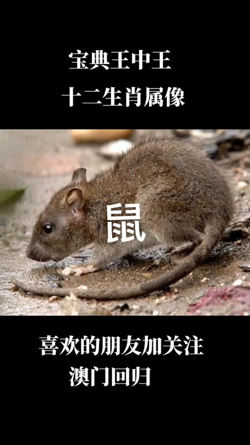 新2025澳门天天开好彩十二生肖图和住院801天434天空床与住院部空床家属可以睡吗